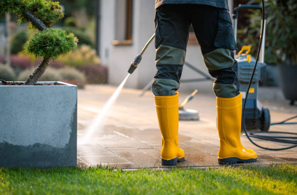 Best Roof Pressure Washing  in Canton, MO